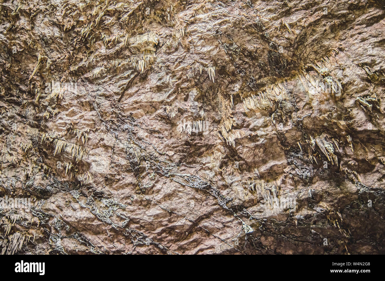 Le stalattiti sul soffitto di una grotta. Sottolineato formazioni rocciose sedimentarie. Le texture del soffitto all'interno di una grotta. Foto Stock