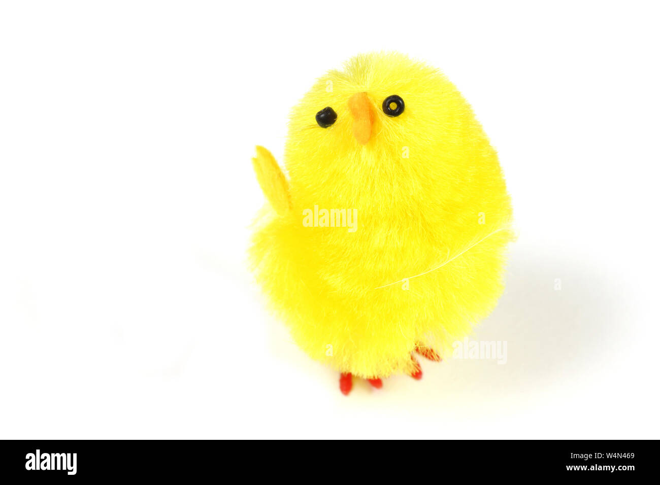 Giallo lanuginoso Pasqua pulcino su sfondo bianco Foto Stock