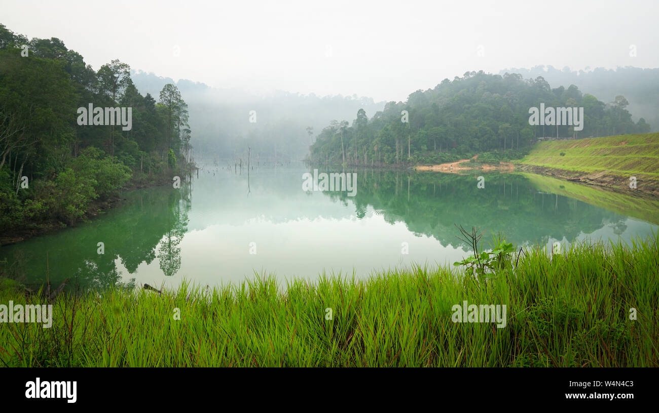 Verde Tropical jungle e il lago di paesaggio. Foschia mattutina, serena e pacifica. Foto Stock