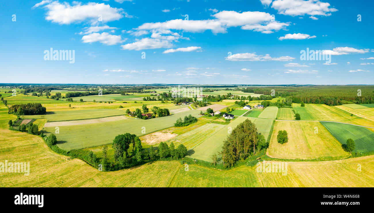 Campi verdi e alberi della campagna polacca tratto all'orizzonte sotto nuvole bianche e blu cielo Foto Stock