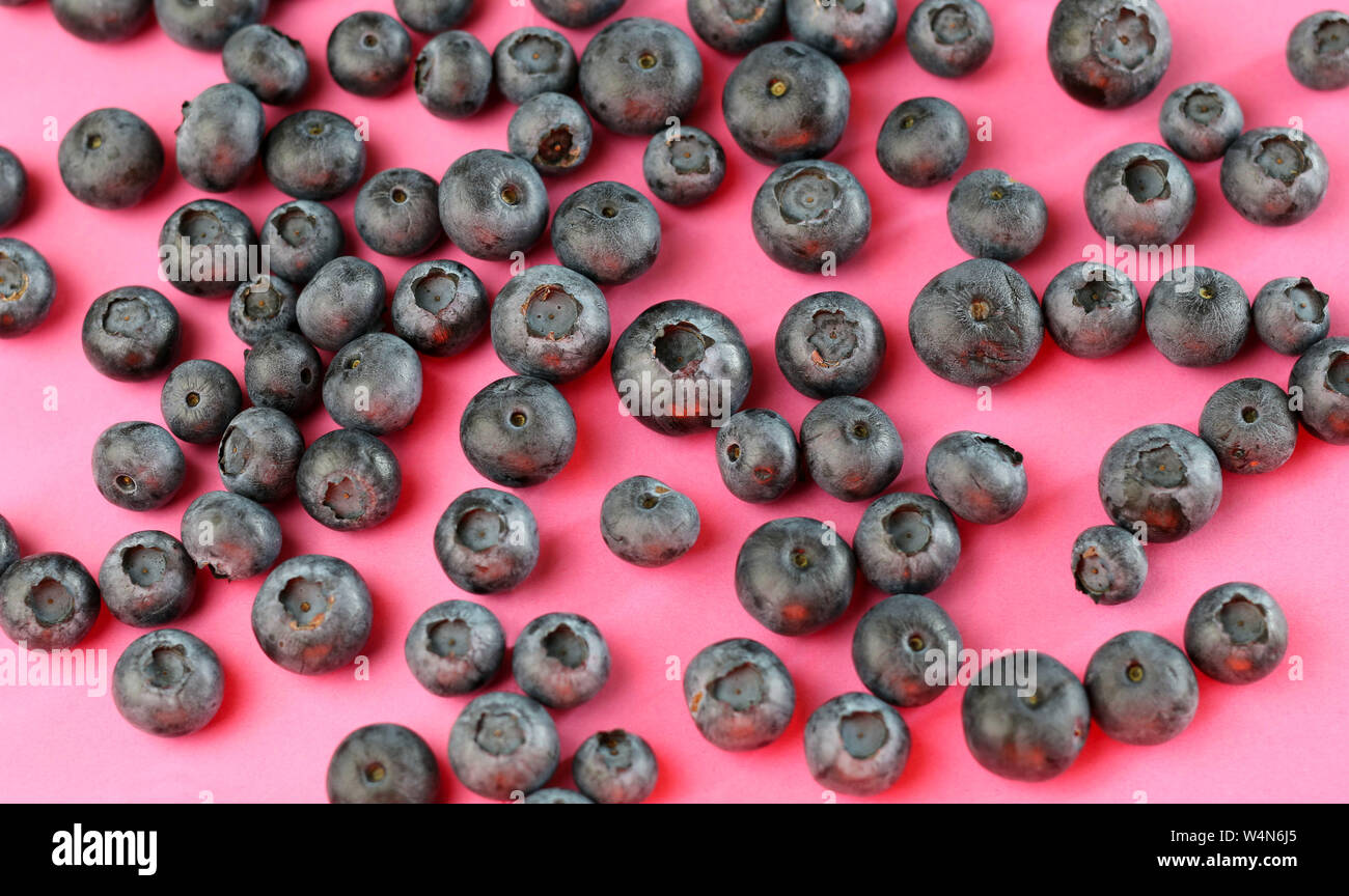 Mirtilli freschi isolato su sfondo rosa Foto Stock