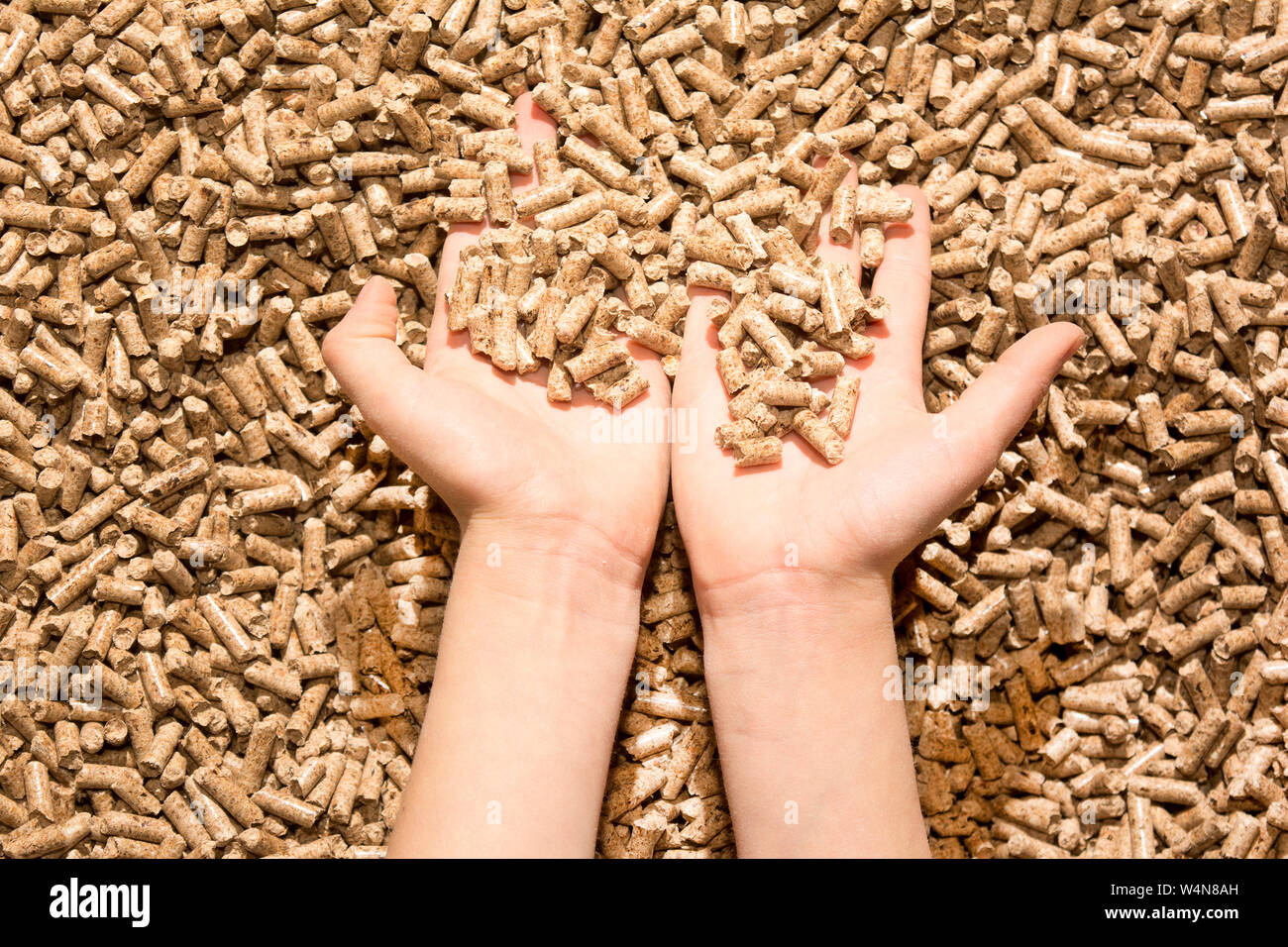 Per i bambini con mano ecologia naturale di pellet di legno Foto Stock