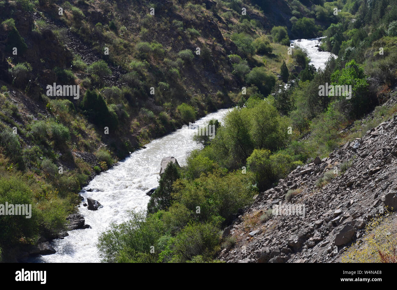 Zarmas Canyon nella provincia Qashqadarya, southeastern Uzbekistan Foto Stock