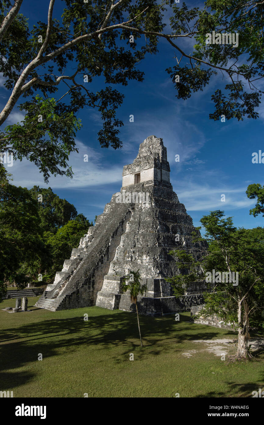 Guatemala, il tempio I o tempio della grande Jaguar, è una piramide funeraria dedicata a Jasaw Chan K'awil, che fu seppellito nella struttura in ANNUNCIO 734, la piramide è stata completata intorno al 740-750 e sorge a 47 metri o154 piedi alto, il Parco Nazionale di Tikal, è un sito archeologico di pre-colombiana civiltà Maya e dal 1979, è un sito Patrimonio Mondiale dell'UNESCO. Foto Stock