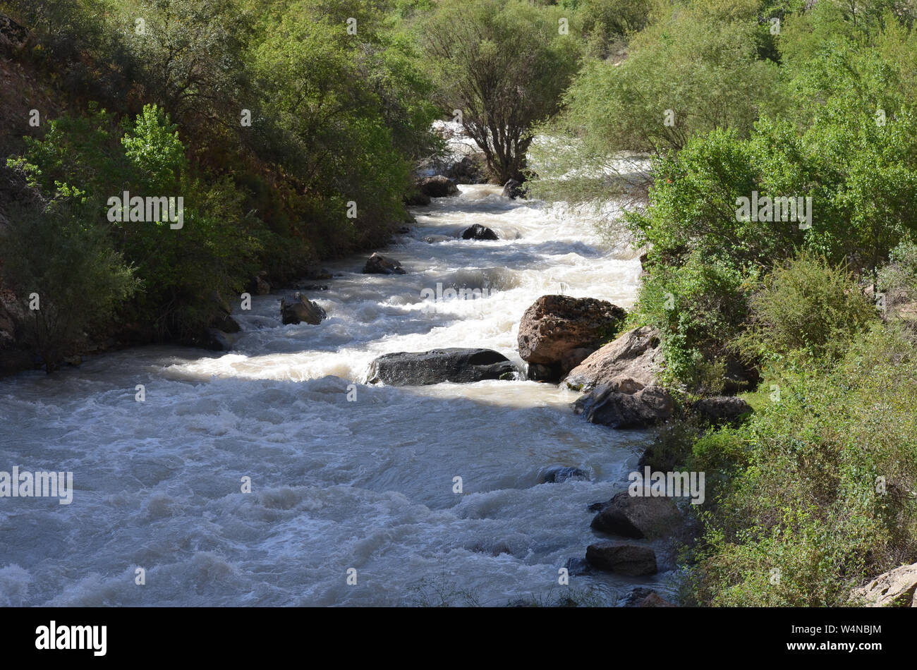 Zarmas Canyon nella provincia Qashqadarya, southeastern Uzbekistan Foto Stock