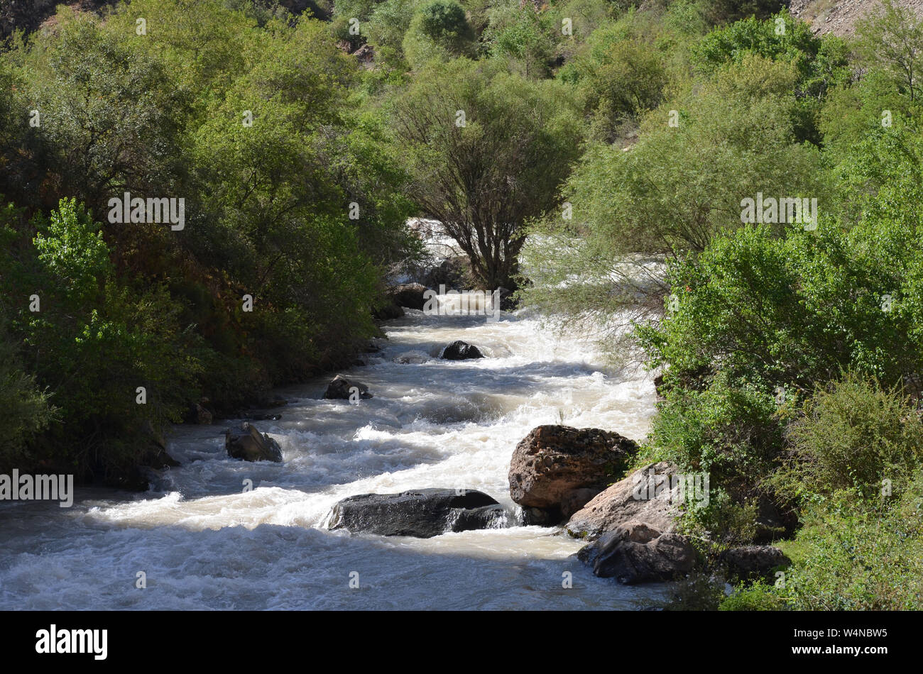 Zarmas Canyon nella provincia Qashqadarya, southeastern Uzbekistan Foto Stock