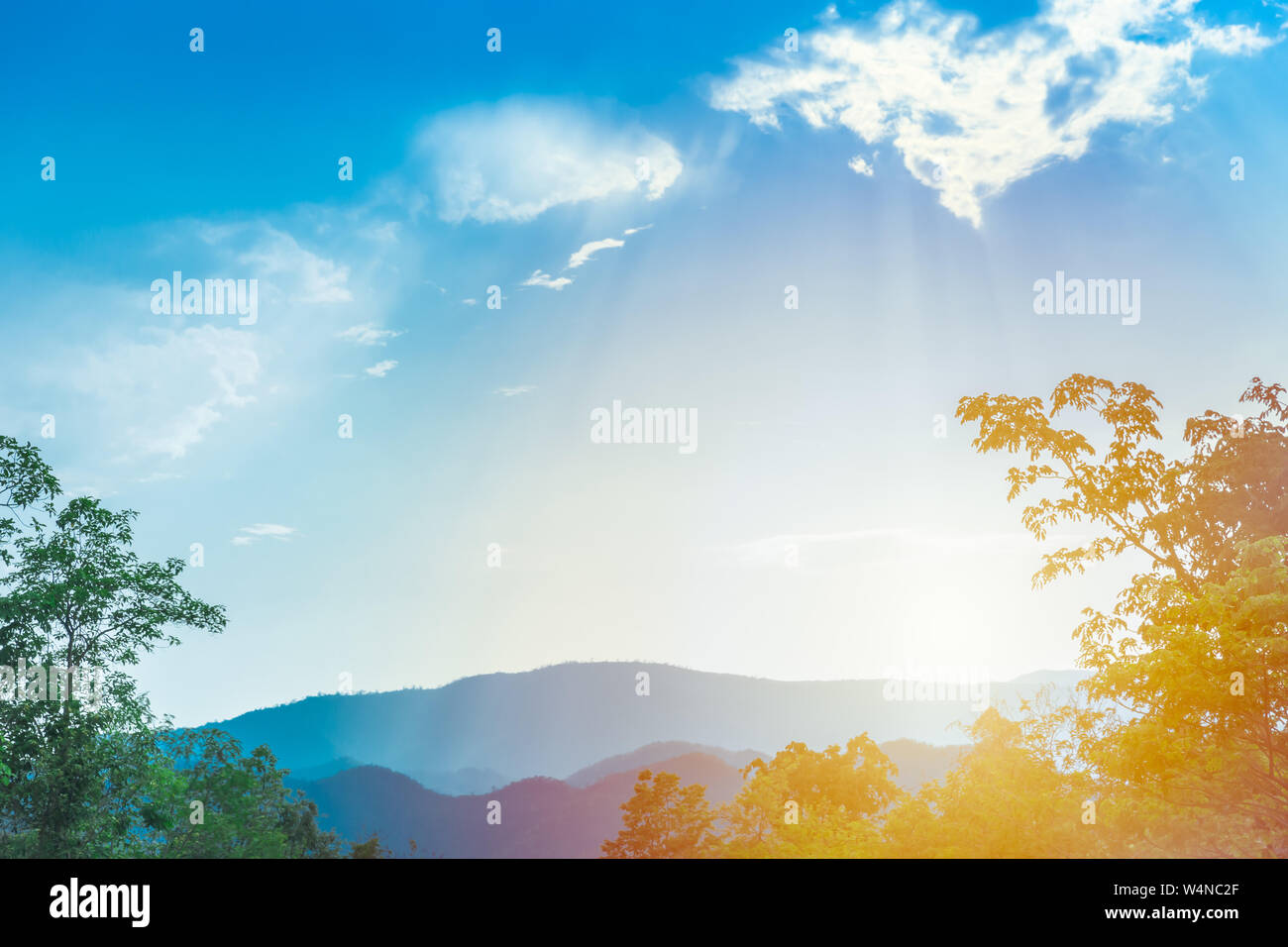Aria fresca albero verde e blu di montagna sky per lo sfondo della natura Foto Stock