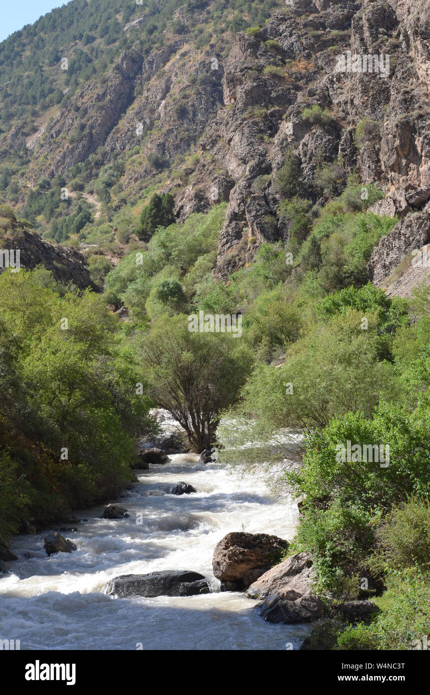 Zarmas Canyon nella provincia Qashqadarya, southeastern Uzbekistan Foto Stock