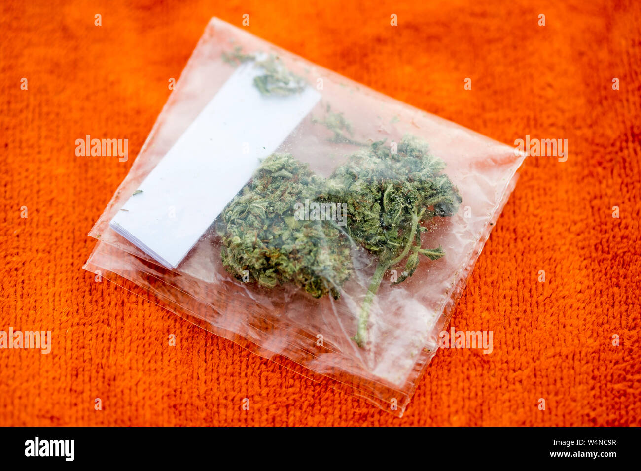 Medical bud limone cannabis haze borsa con punte di sfondo macro arte stampe di alta qualità prodotti cinquanta megapixel Foto Stock