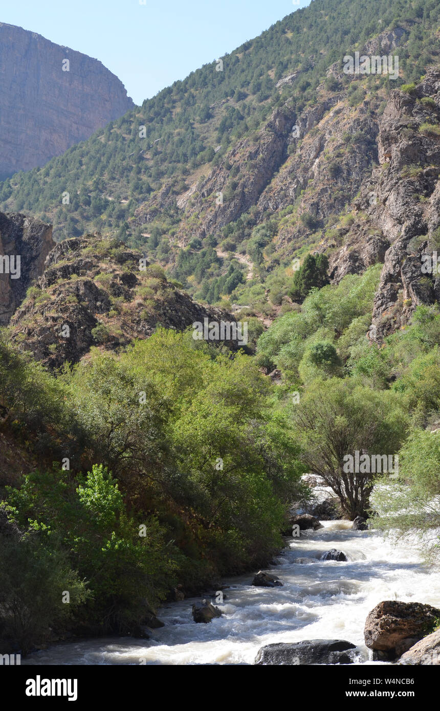 Zarmas Canyon nella provincia Qashqadarya, southeastern Uzbekistan Foto Stock