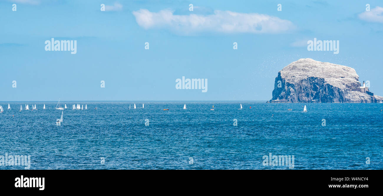 A North Berwick, East Lothian, Scozia, Regno Unito, 24 luglio 2019. RS Aero Challenge Cup: East Lothian Yacht Club ospita la regata a vela con 80 derive in lizza per un handicap Challenge Cup davanti della UK National & International Open Championship che si svolge nel corso di 4 giorni a partire da domani. I gommoni di gara attorno a un corso di Firth of Forth vicino al Bass Rock gannett colony con migliaia di sule battenti intorno a loro Foto Stock