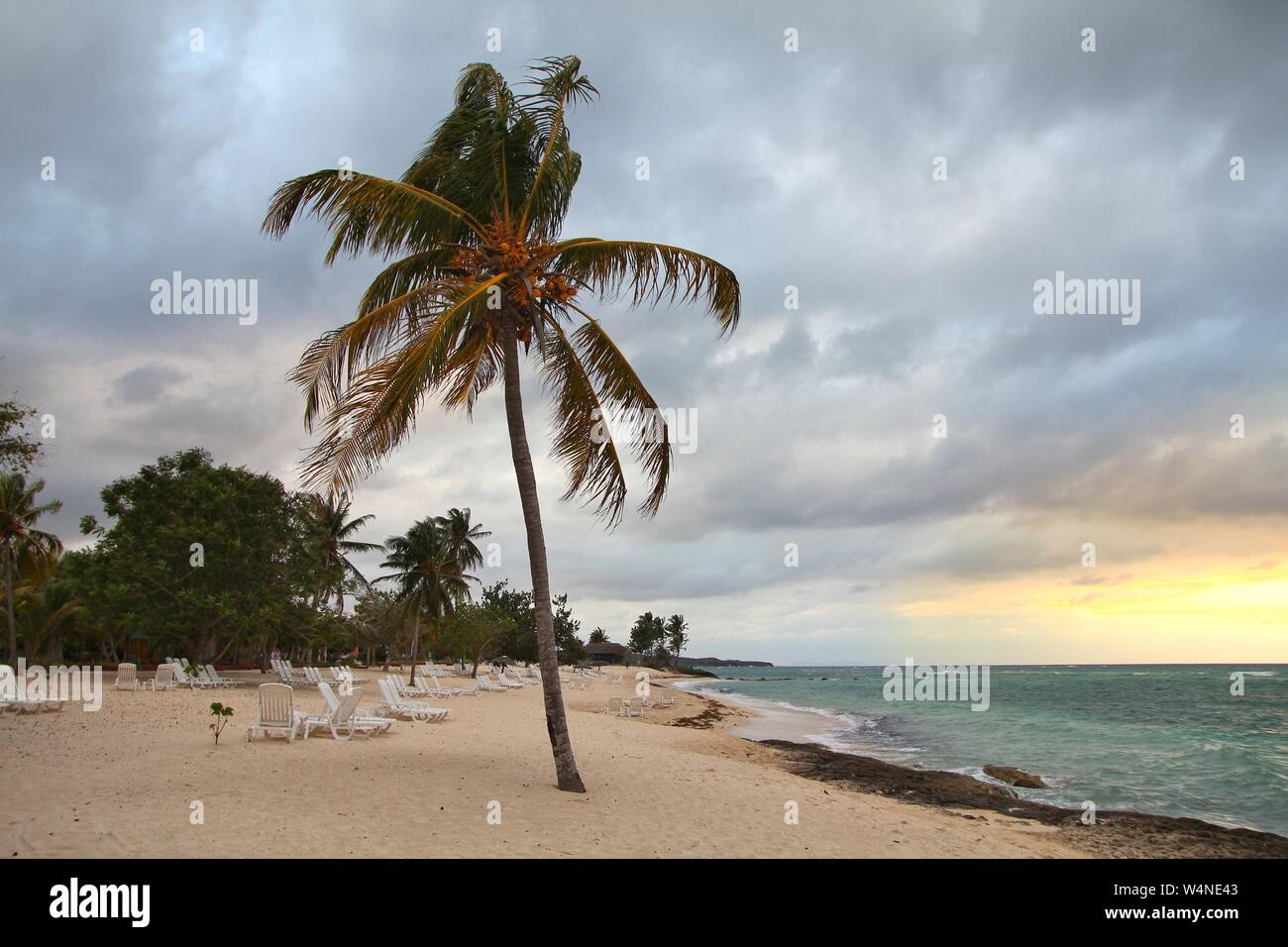 Spiaggia Guardalavaca nella provincia di Holguin, Cuba. Palm tree. Foto Stock