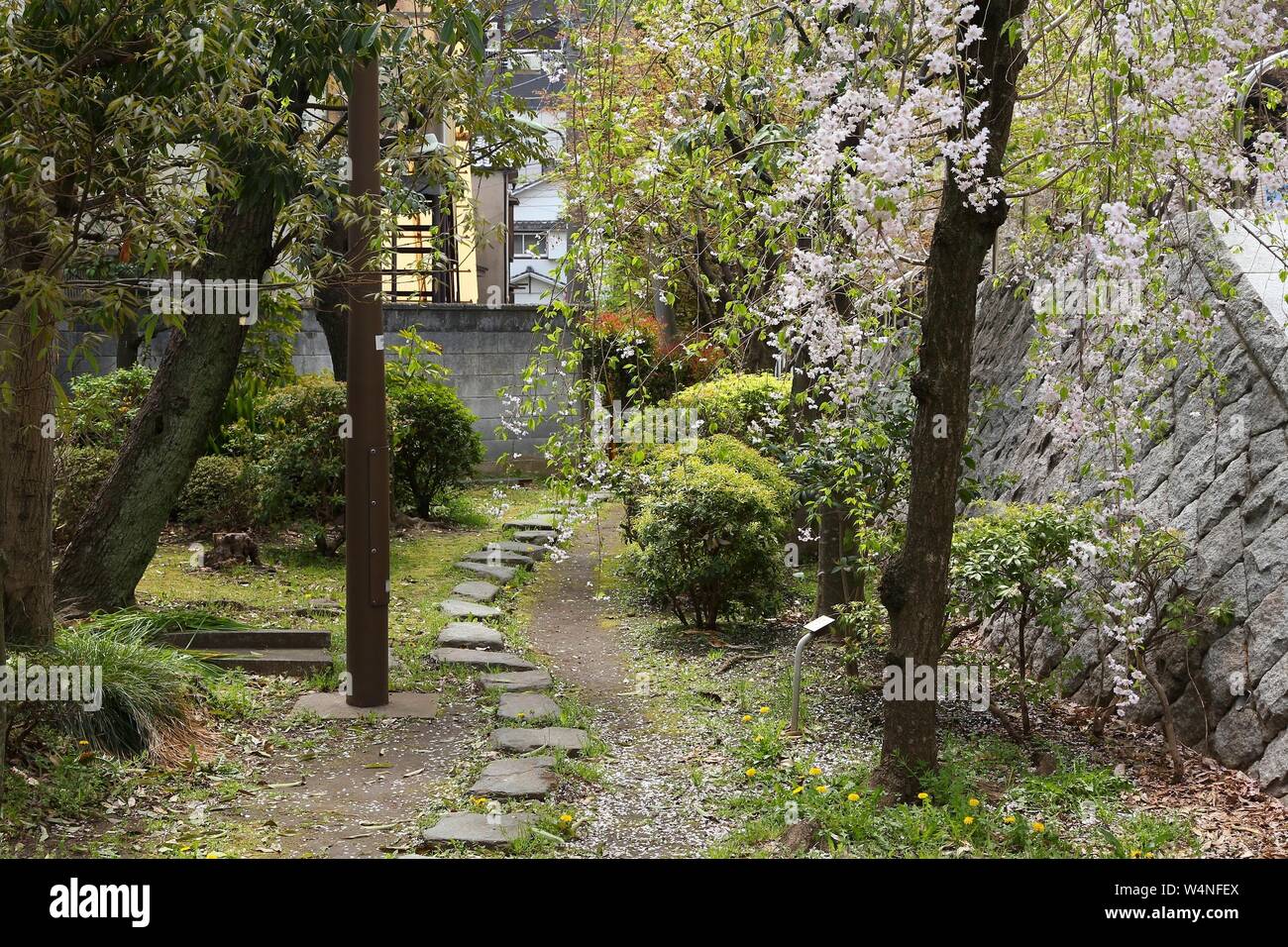Il Parco Sumida a Tokyo in Giappone. Lastricato in pietra percorso. Foto Stock