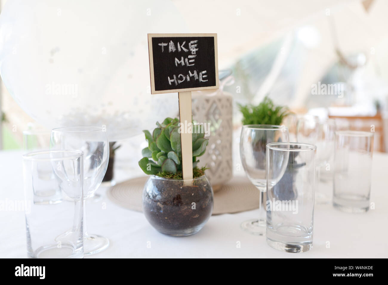 Closeup succulente verde in un calice di vetro sulla tavola festosa accanto ad essa è un segno dicendo Take me Home, il fuoco selettivo Foto Stock