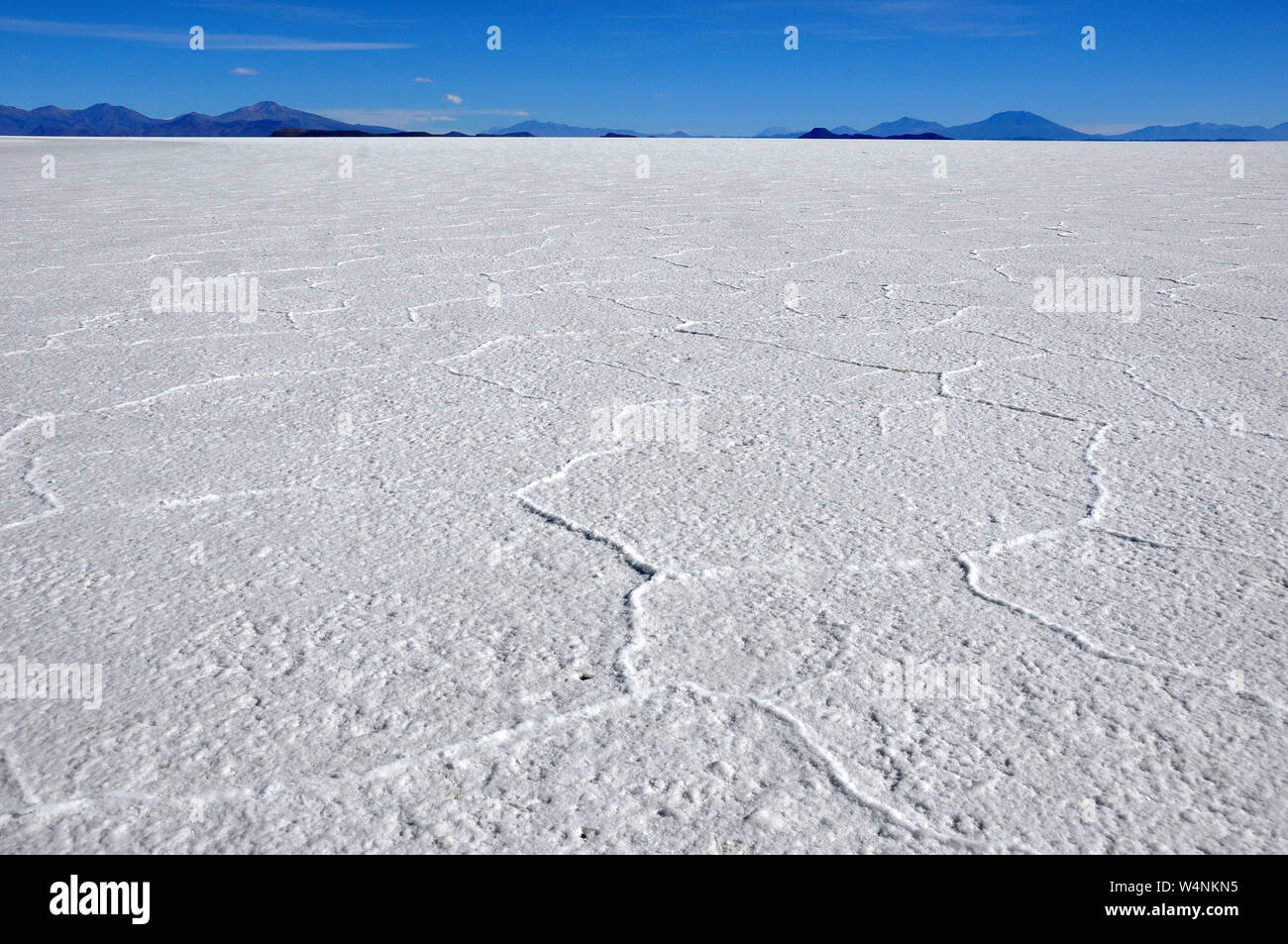 Viaggiare in Bolivia e in Perù e Cile a lagunas potosi e il lago Titicaca Foto Stock