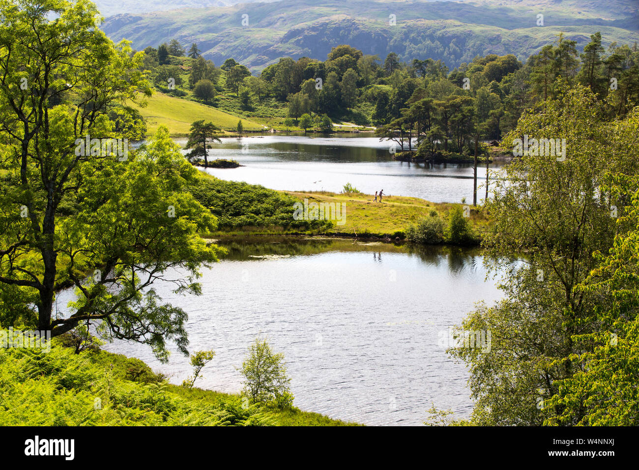 Tarn Howes, Lake District, UK. Foto Stock