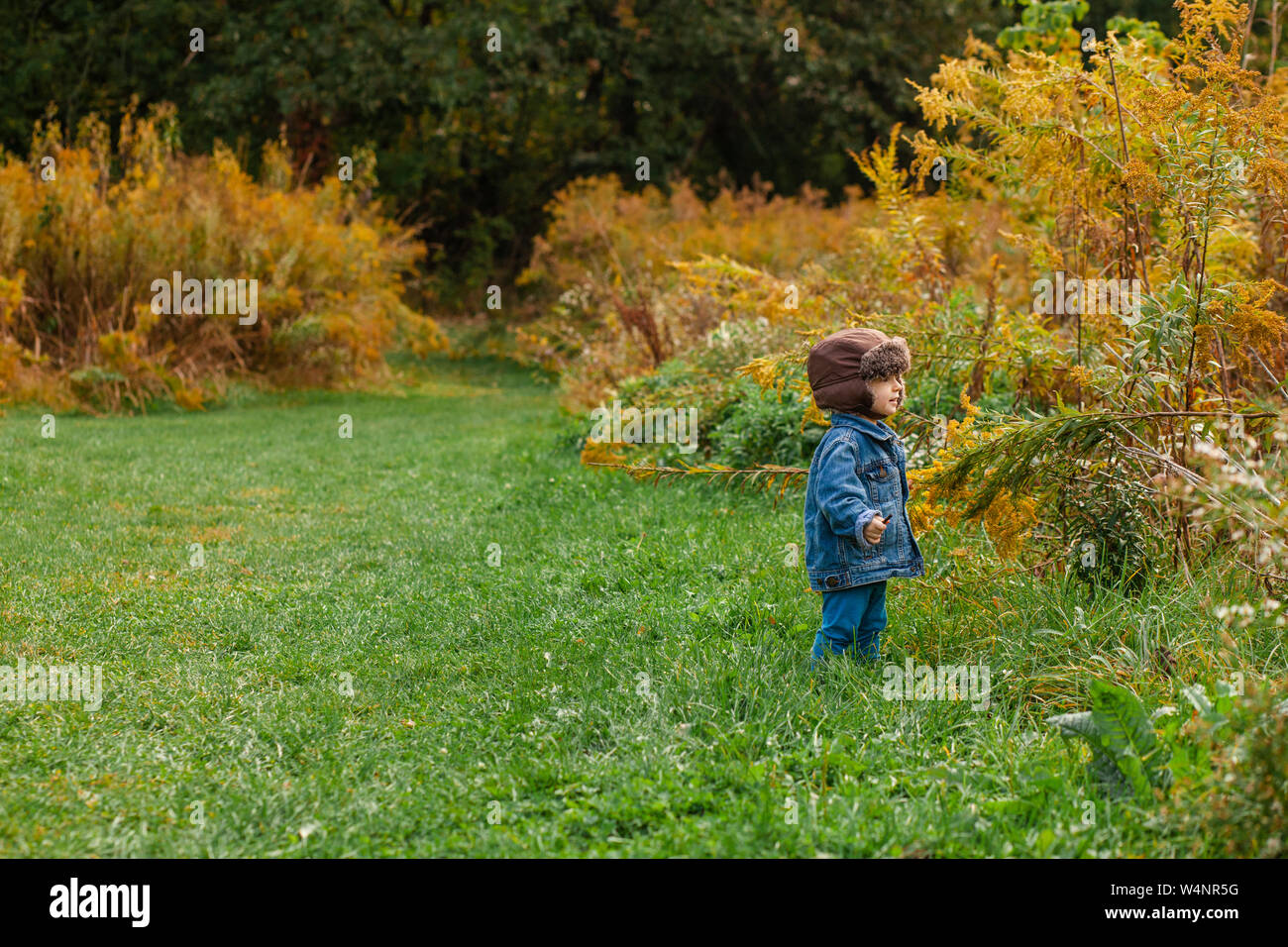 Un piccolo bimbo sta preinstallato in un campo oro in autunno Foto Stock