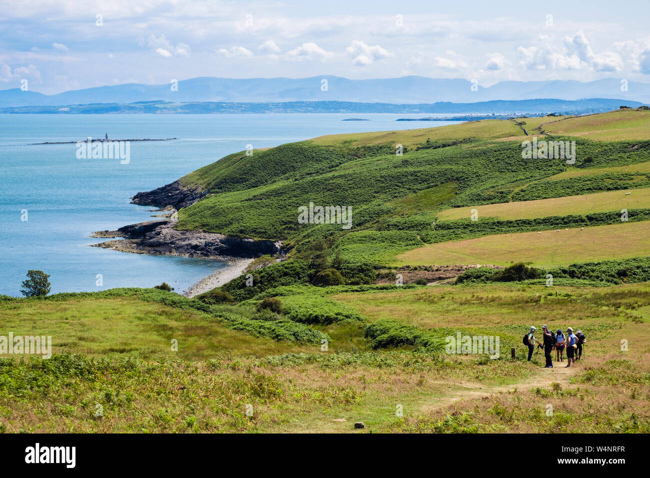 Anglesey sentiero costiero con scuotipaglia sulla costa nord e vista montagne distanti. Llaneilian, Isola di Anglesey, Galles del Nord, Regno Unito, Gran Bretagna Foto Stock