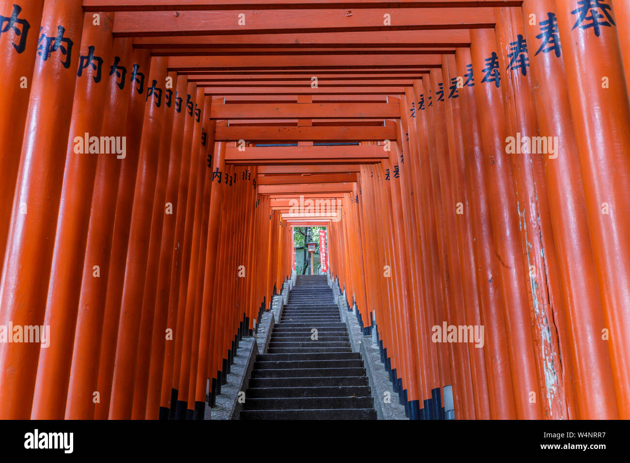 Torii gate a Hie santuario di Chiyoda, a Tokyo, Giappone. Foto Stock