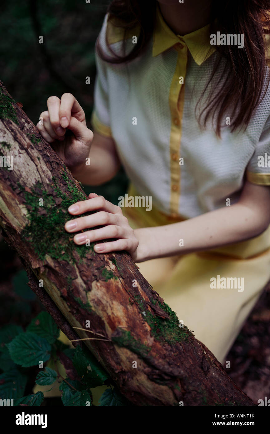 La donna le mani sul tronco di un albero Foto Stock