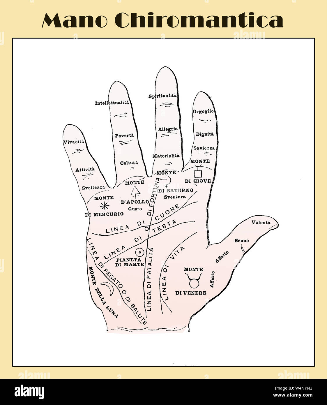La cultura popolare di palm lettura: chiromantic mano con descrizioni italiana da un lessico inizio '900 Foto Stock