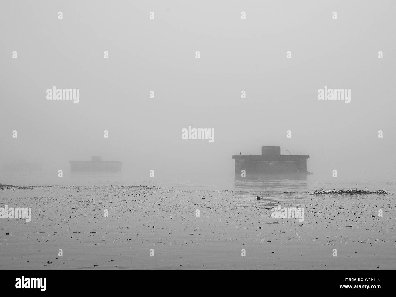 nebbia Foto Stock
