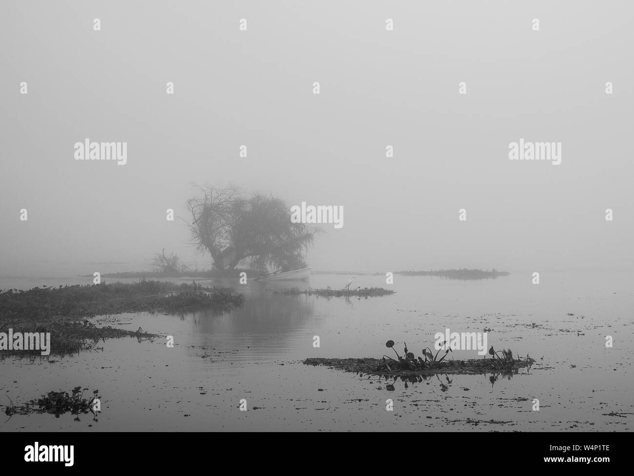 Nebbia Foto Stock