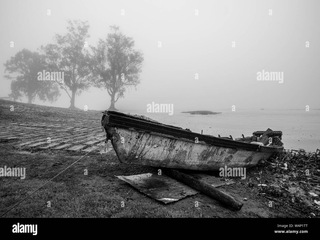 nebbia Foto Stock