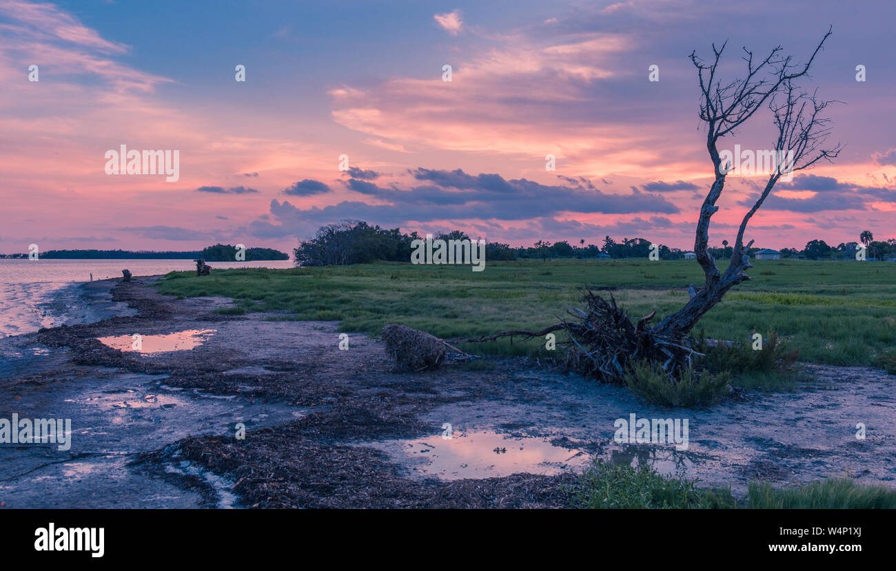 Flamingo Visitor Center, Everglades National Park, Florida, Stati Uniti d'America - 14 Luglio 2018: il tramonto in Everglades National Park in Florida con sagome di tre Foto Stock