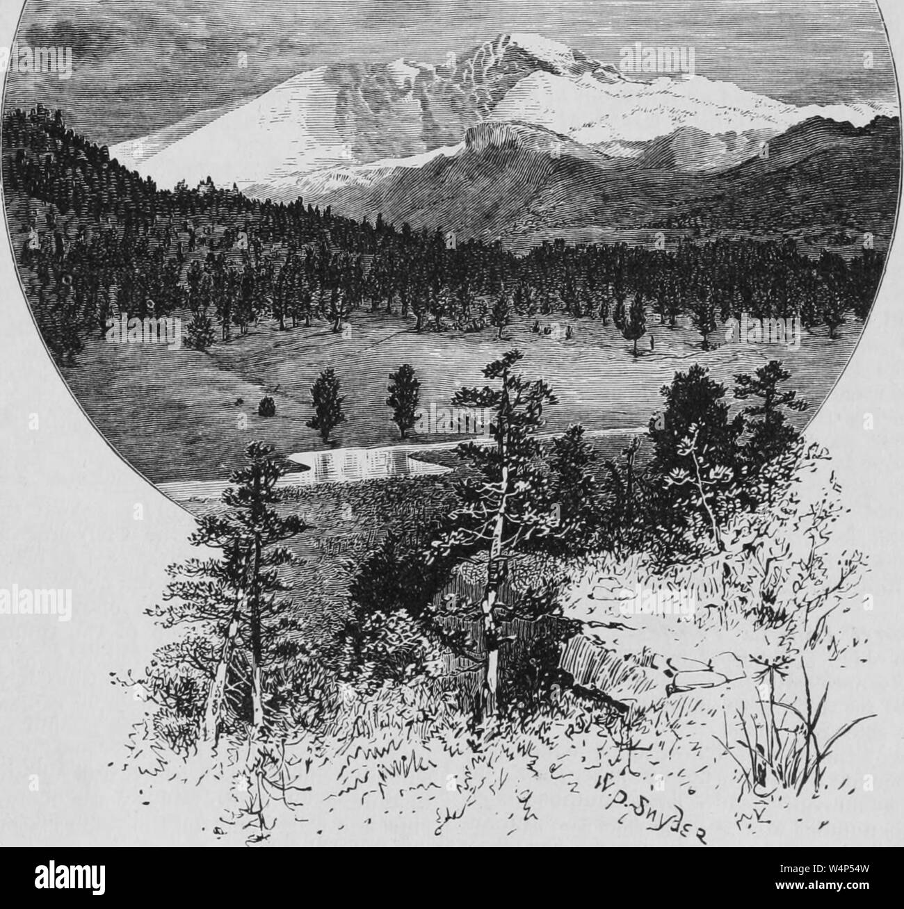 Incisione del Longs Peak visto da Estes Park, montagne rocciose del nord America, dal libro "pacifico" turistici da Henry T. Williams, 1878. La cortesia Internet Archive. () Foto Stock