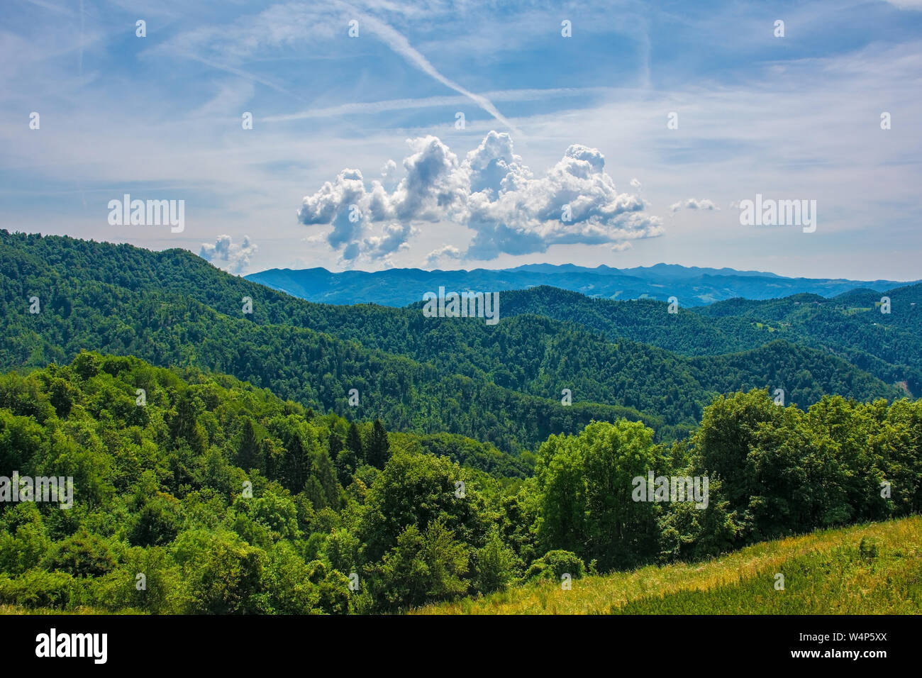 Il paesaggio delle colline intorno al piccolo borgo collinare di Clabuzzaro in Friuli Venezia Giulia, Nord est Italia Foto Stock