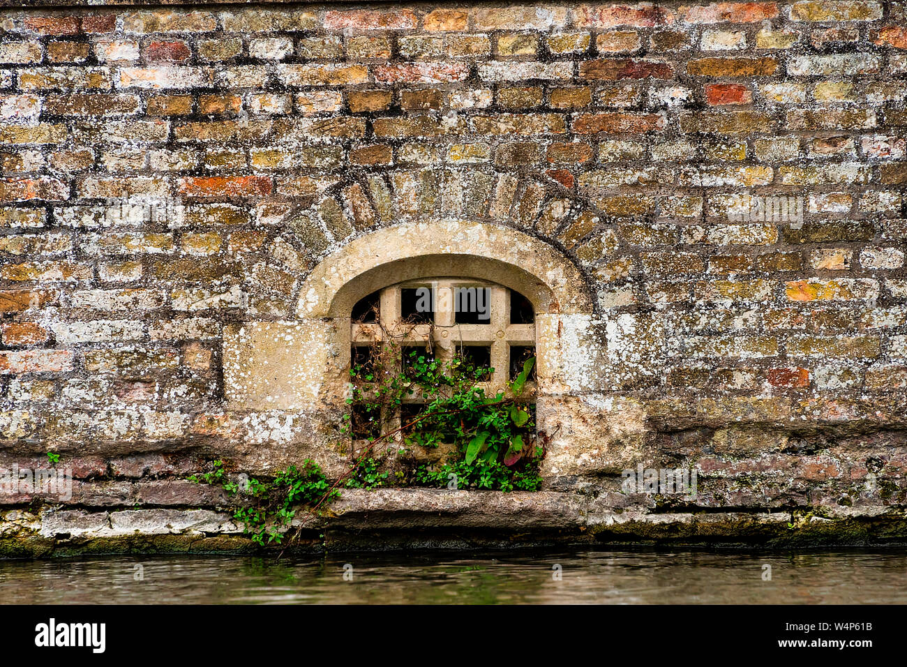 Regno Unito, Cambridge - Agosto 2018: chiuso su Swan trappola, costruita nelle pareti del St Johns college lungo il fiume Cam Foto Stock