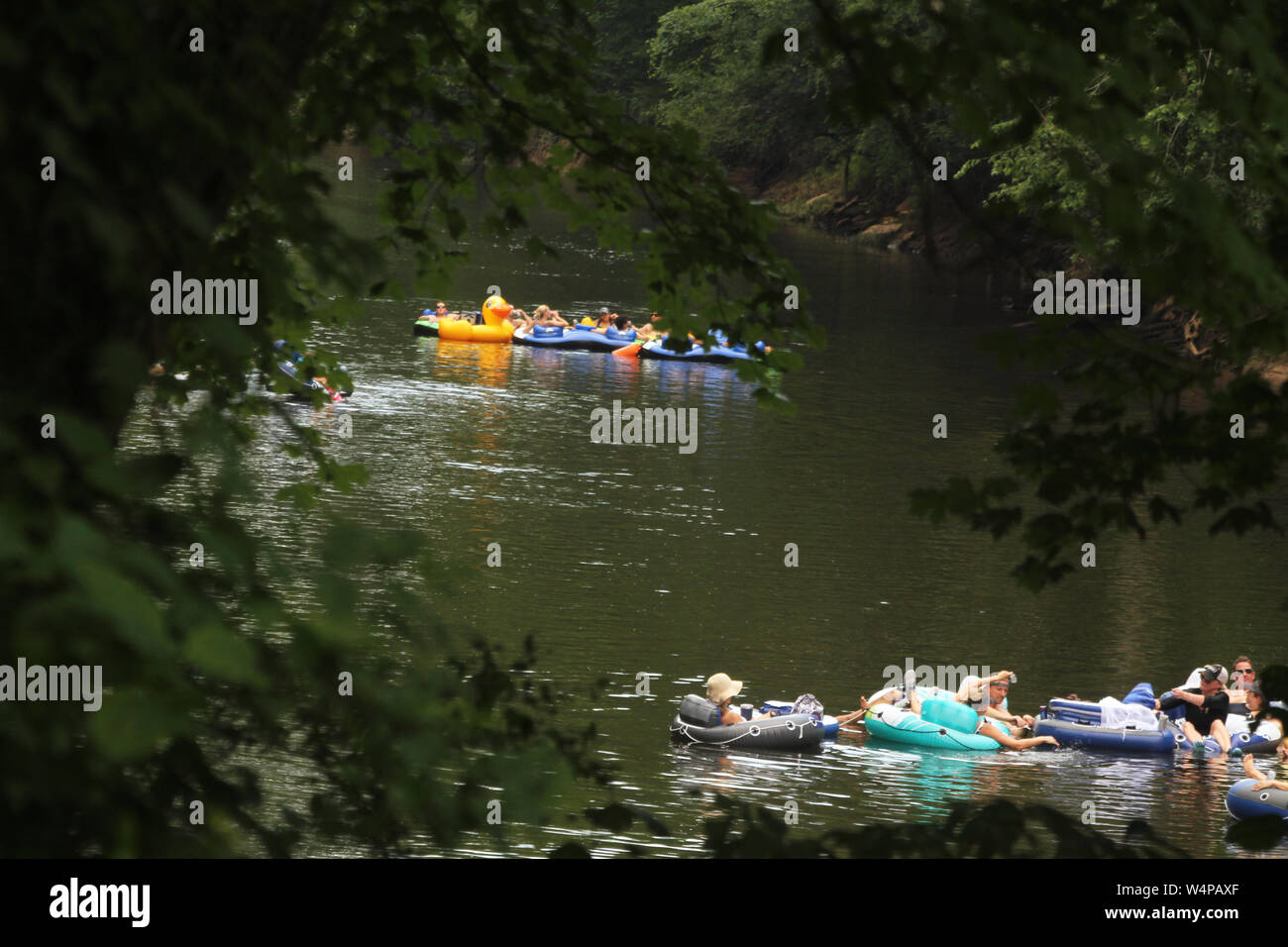 Persone Tubing sul fiume Neuse in North Carolina, STATI UNITI D'AMERICA Foto Stock