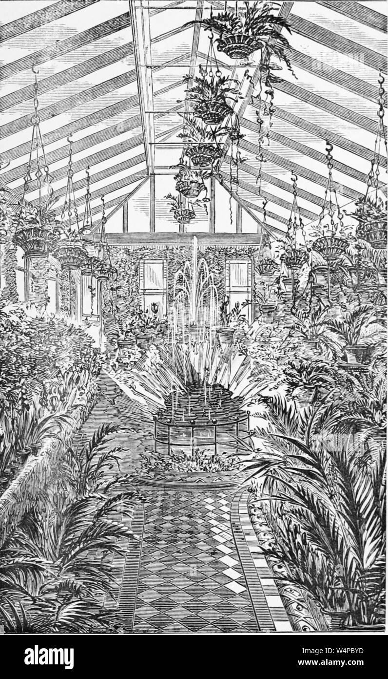 L'incisione dell'interno dell'impianto house di Londra, Inghilterra, dal libro "Il dilettante di serra e conservatorio " da Shirley Hibberd, 1873. La cortesia Internet Archive. () Foto Stock