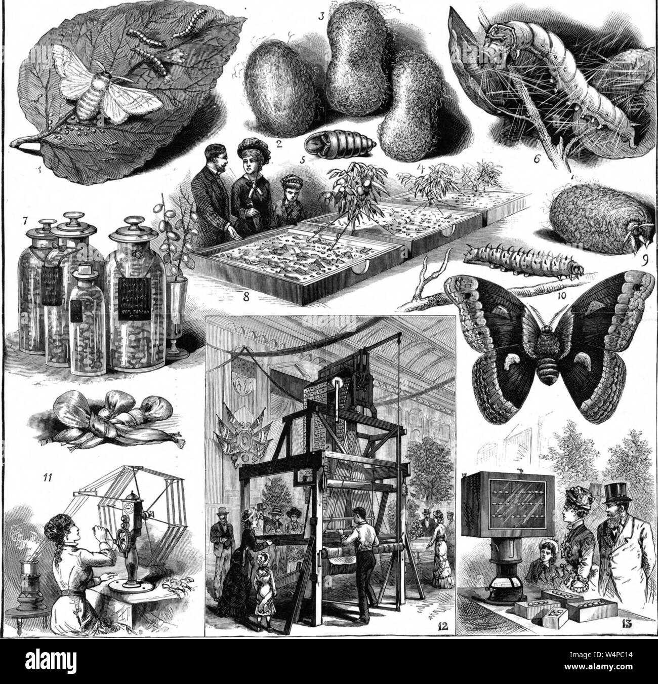Incisi disegni dell'industria della seta mostra a New York, dal "cooperazione scientifica americana' ufficiale, 1882. La cortesia Internet Archive. () Foto Stock