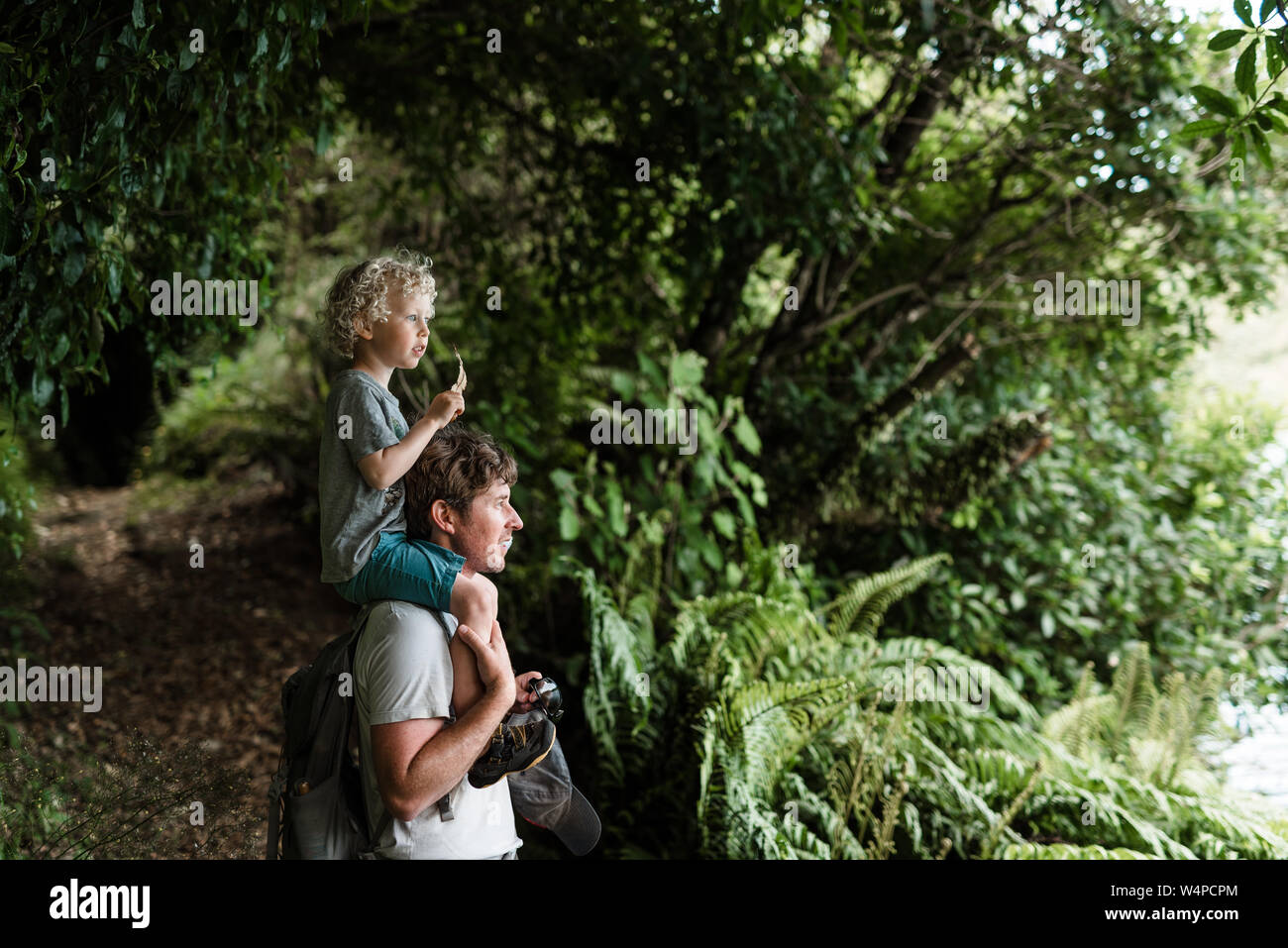 Un giovane bambino seduto sul padre di spalle in una foresta Foto Stock