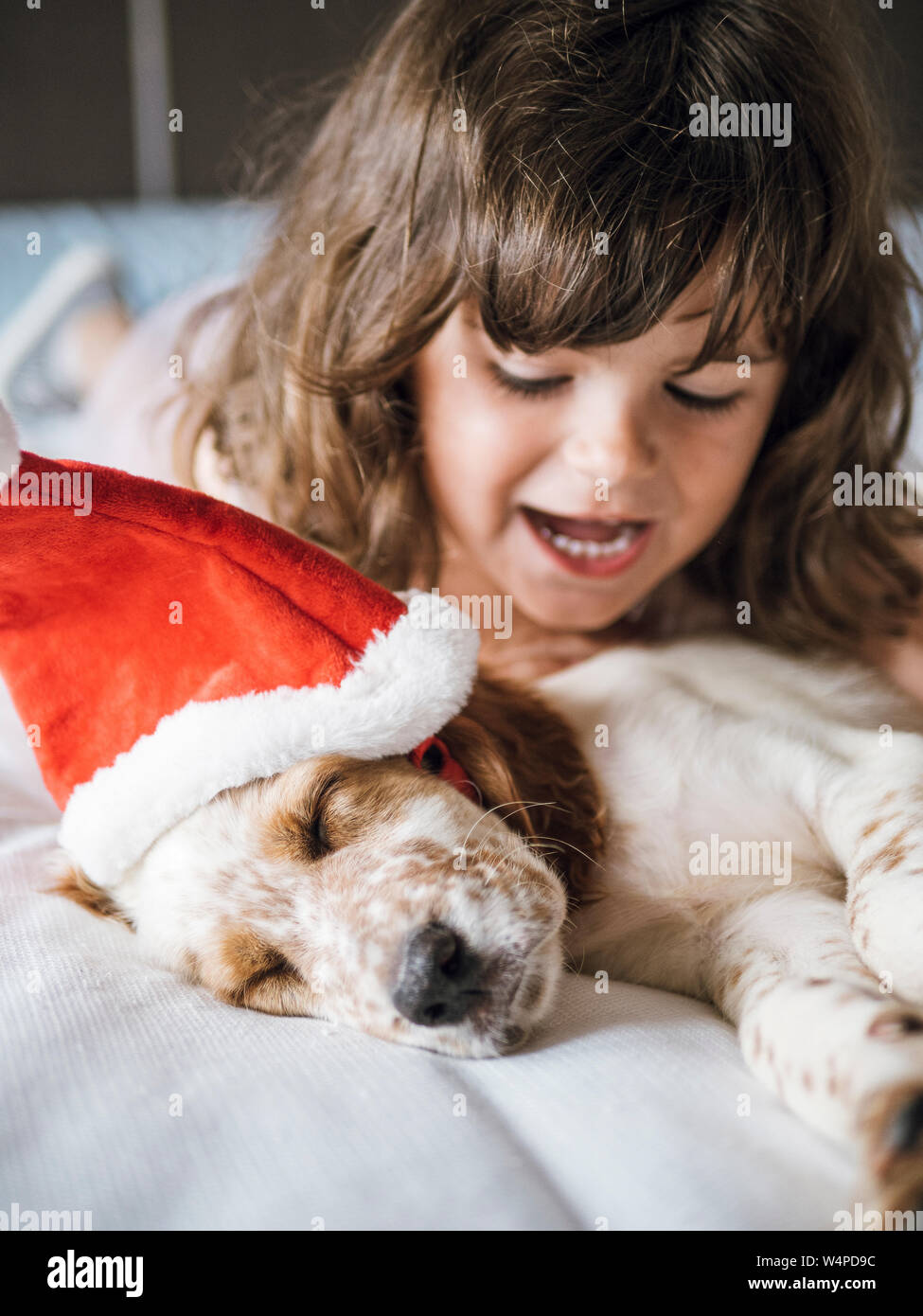 Setter inglese cucciolo con Berretto di Babbo Natale e la bambina sorridente Foto Stock