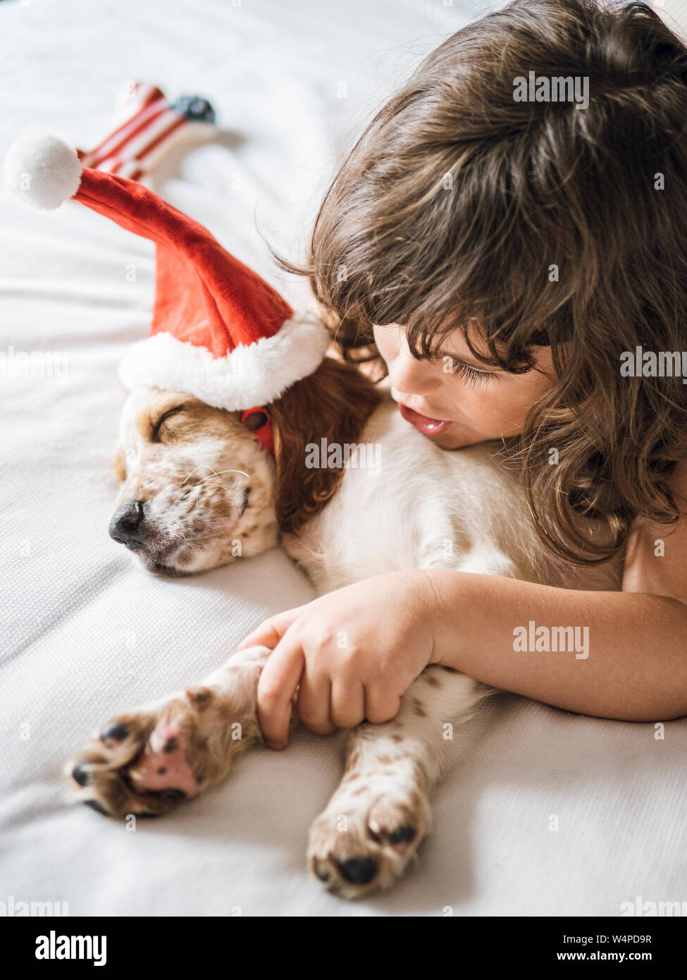 Bambina gioca con Setter inglese cucciolo con santa claus hat Foto Stock