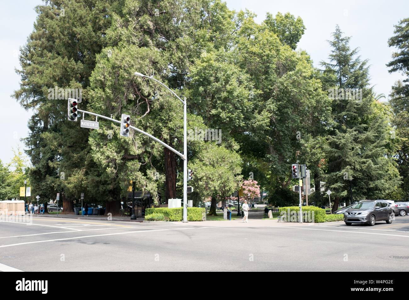 Centro iconica piazza con grandi maturi alberi di sequoia nella contea di Sonoma Wine Country, Healdsburg, California, 24 agosto 2018. () Foto Stock