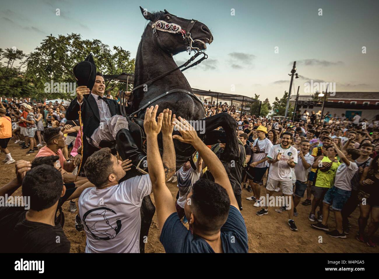 Barcellona, Spagna. 24 Luglio 2019: un 'caixer' (cavallo Cavaliere) culatte fino sul suo cavallo circondato da un tifo folla durante il tradizionale "Jaleo al Sant Jaume Festival in Es Castell Credito: Matthias Oesterle/Alamy Live News Foto Stock