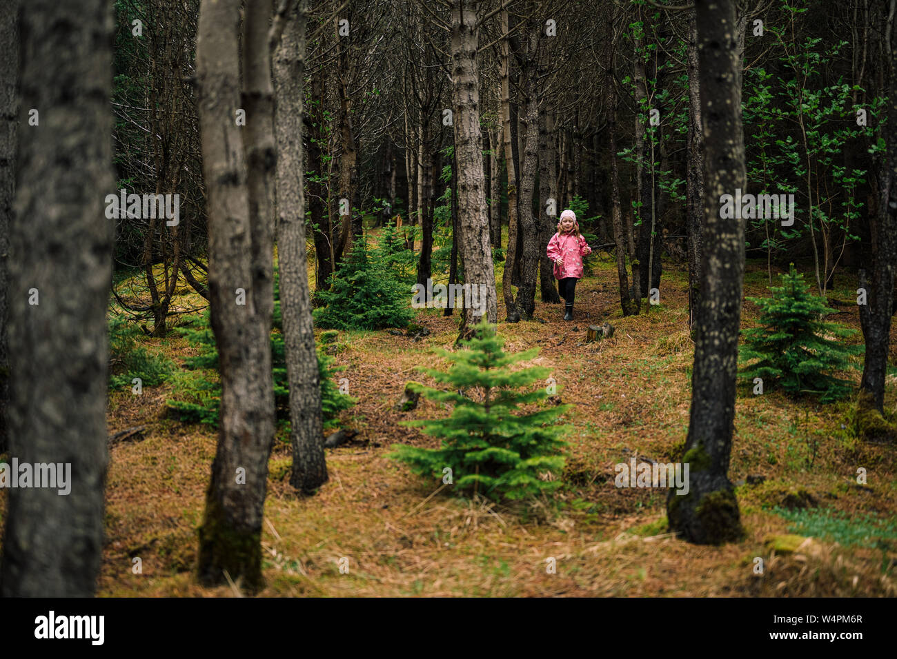Brave bambina in camicia rosa a piedi nella scura foresta di muschio di Islanda tra gli alberi. Foto Stock