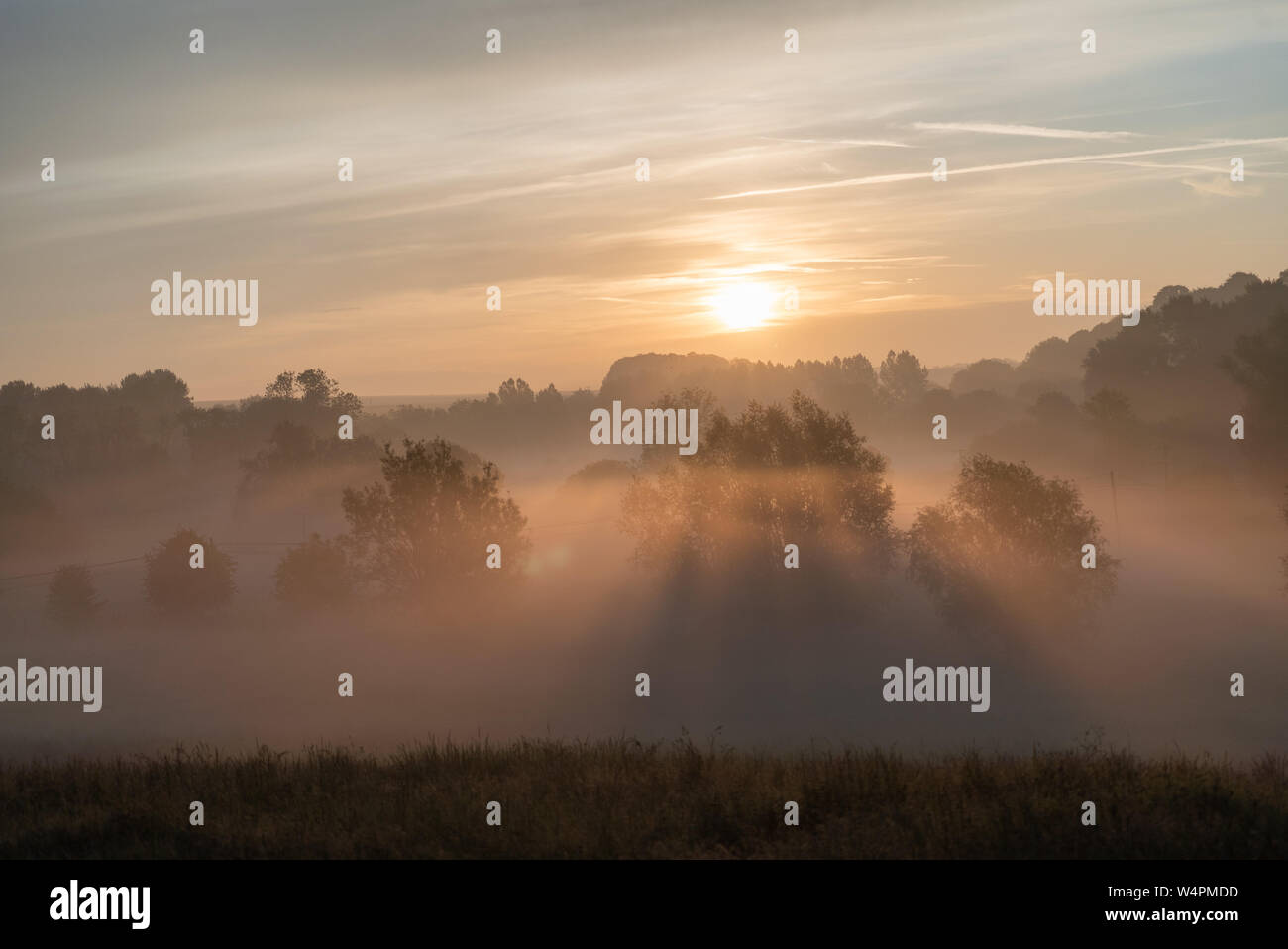 Nebbia a sunrise a Pewsey Vale, WILTSHIRE REGNO UNITO Foto Stock