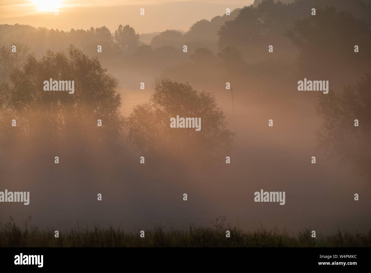 Nebbia a sunrise a Pewsey Vale, WILTSHIRE REGNO UNITO Foto Stock