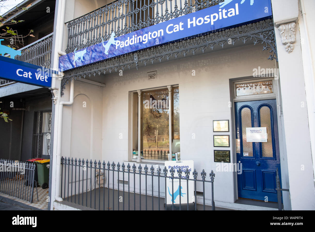 Paddington ospedale cat vet in Oxford Street Paddington,Sydney , Australia Foto Stock