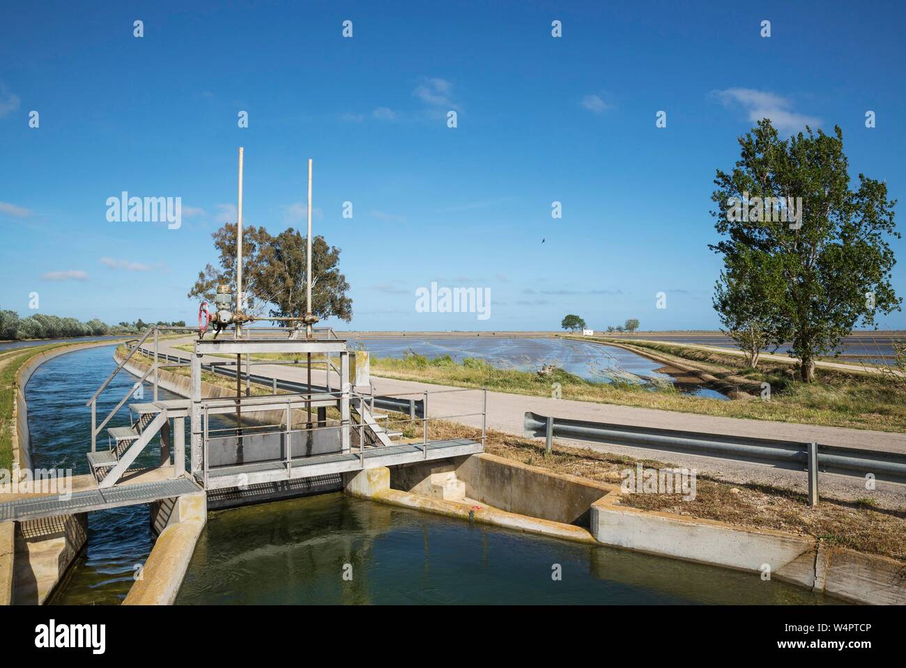 Canal con una serratura tra risaie allagate, Ebro Delta Riserva Naturale, provincia di Tarragona Catalogna Foto Stock