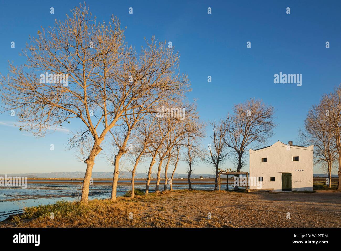 Allagato campo di riso e la piccola fattoria, Ebro Delta Riserva Naturale, provincia di Tarragona Catalogna Foto Stock