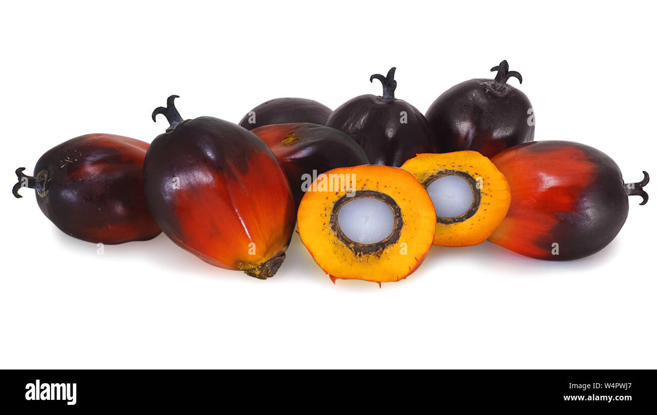 Olio di palma frutto isolato su bianco Foto Stock