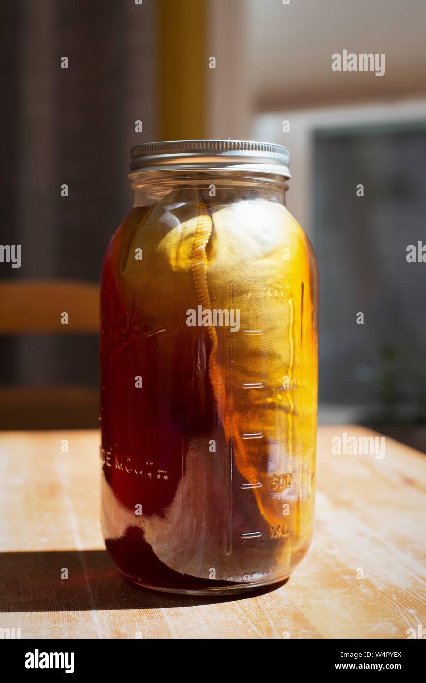 Cold brew coffee birra in una calza di caffè. Foto Stock