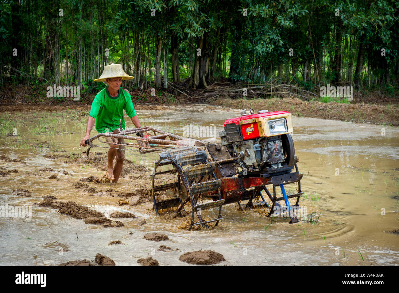 Nein un agricoltore tailandese arare i campi, Nakhon Nayok, Thailandia Foto Stock