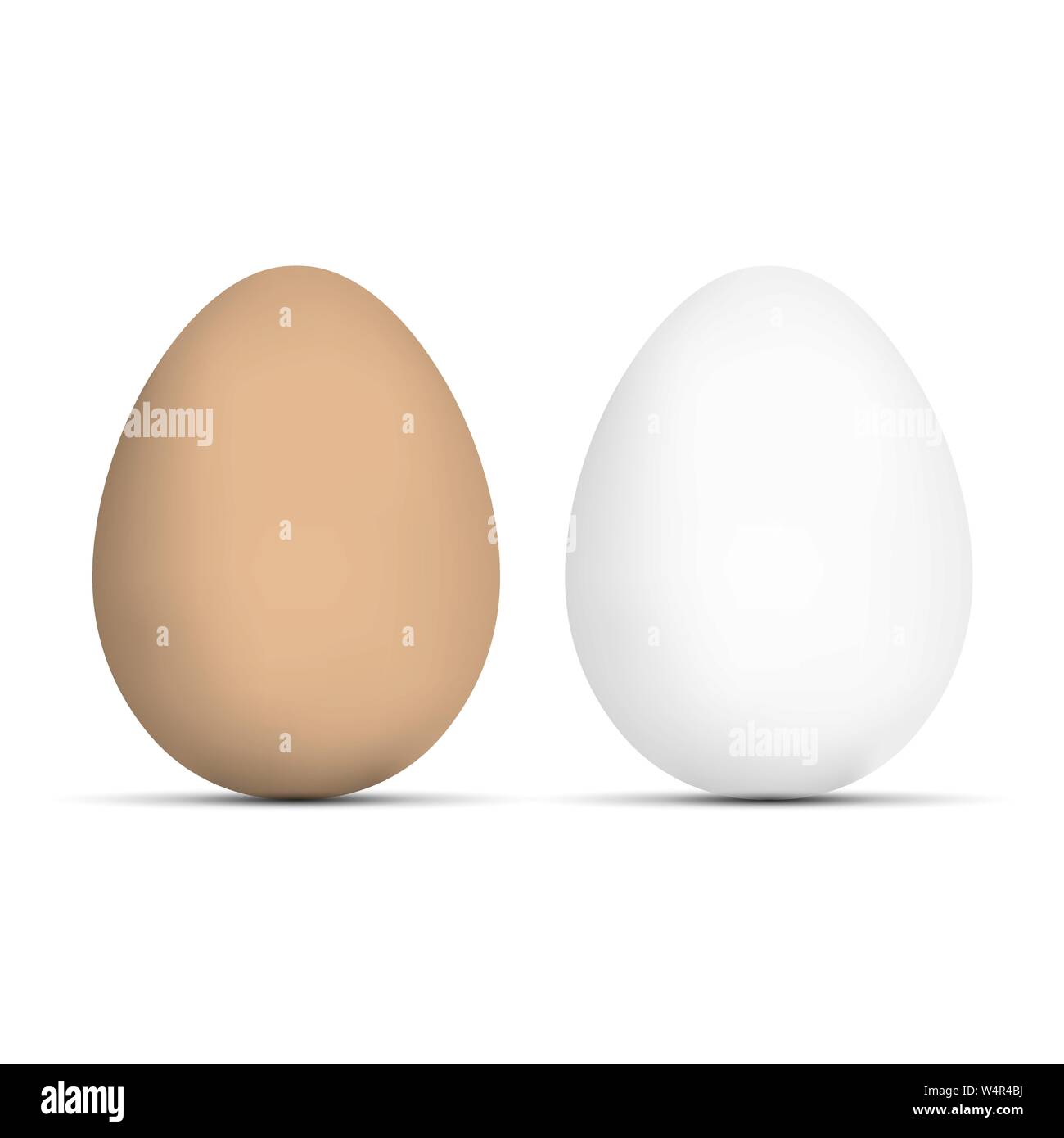 Vettore di realistiche uova. Uovo di marrone e bianco uovo isolato su bianco Illustrazione Vettoriale
